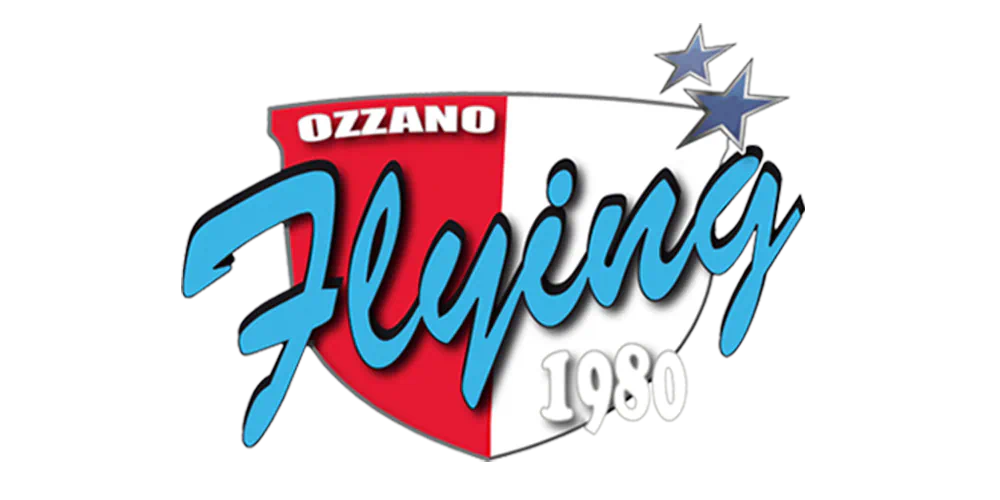 Logo NEW FLYING BALLS EpsolSrl